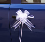Ornaments for the car - Fast buckles