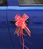 Ornaments for the car - Fast buckles
