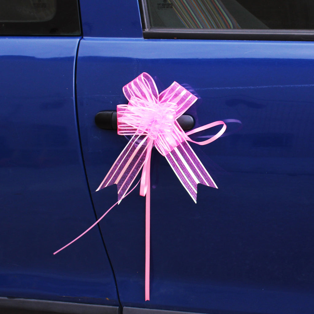 Ornaments for the car - Fast buckles